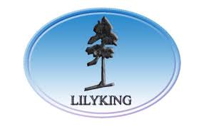 Lillyking Stoves Spare Parts
